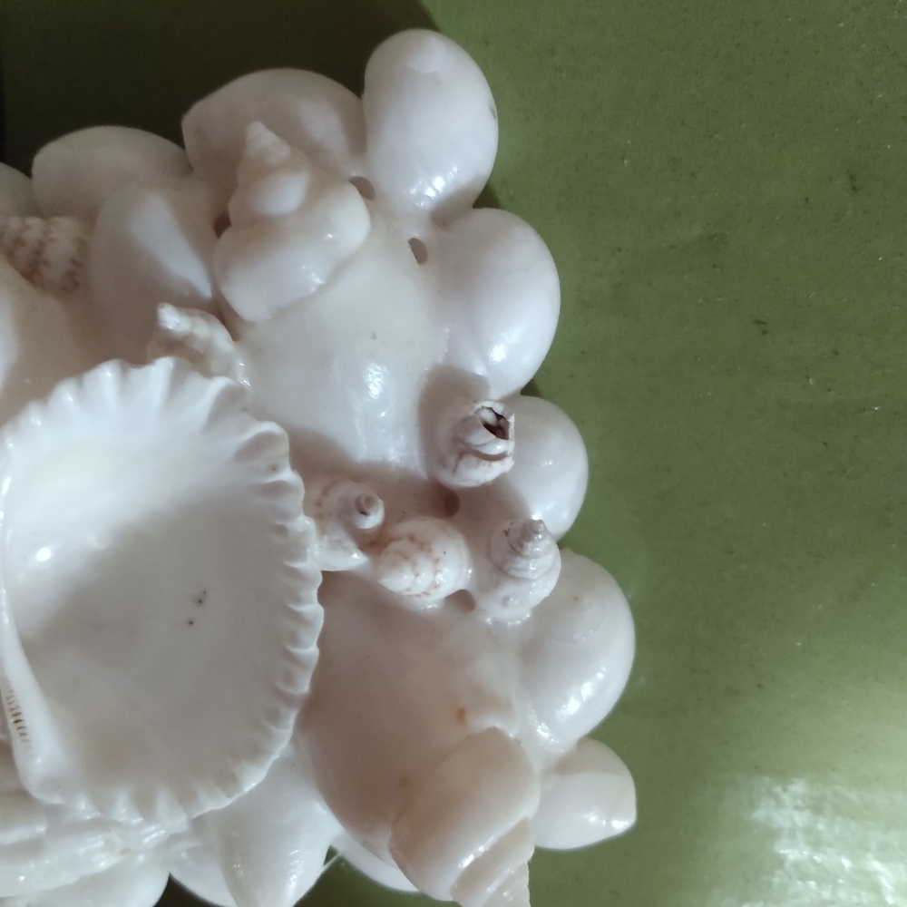 Handmade Seashell Cross - Picture 6 of 6